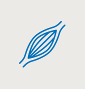 kachelnavi supplemente muskel nerven